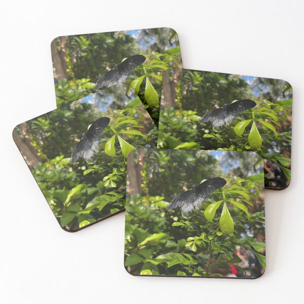 Item preview, Grey butterfly with vibrant green background designed and sold by am3liajm.