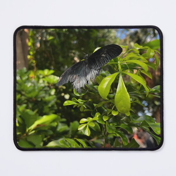 Item preview, Grey butterfly with vibrant green background designed and sold by am3liajm.