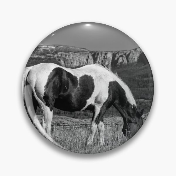 Item preview, Black And White Horse Grazing In Wyoming In Black And White designed and sold by Kay Brewer.