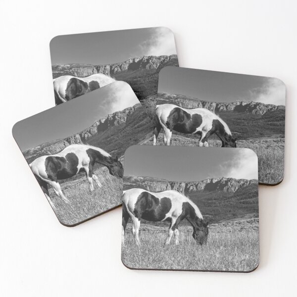 Item preview, Black And White Horse Grazing In Wyoming In Black And White designed and sold by Kay Brewer.
