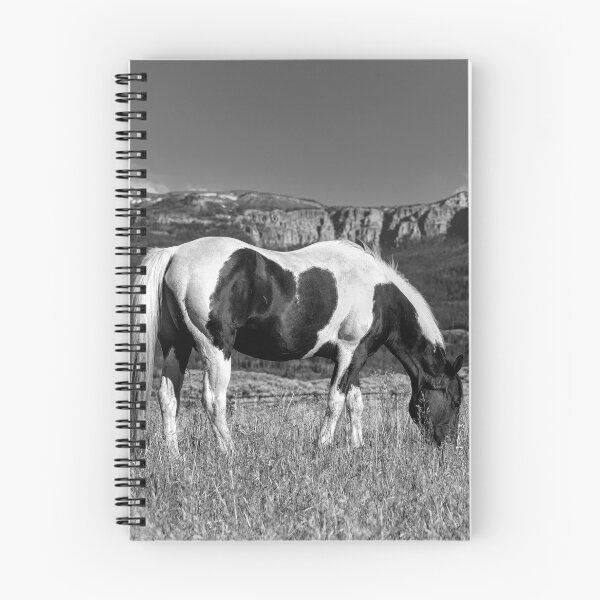 Item preview, Black And White Horse Grazing In Wyoming In Black And White designed and sold by Kay Brewer.