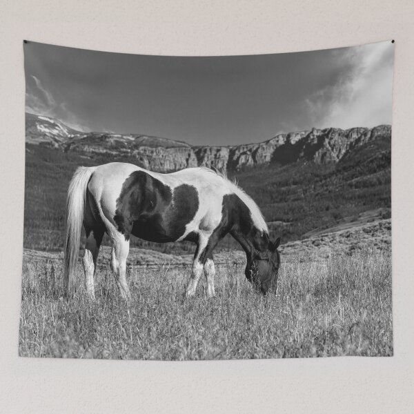 Item preview, Black And White Horse Grazing In Wyoming In Black And White designed and sold by Kay Brewer.