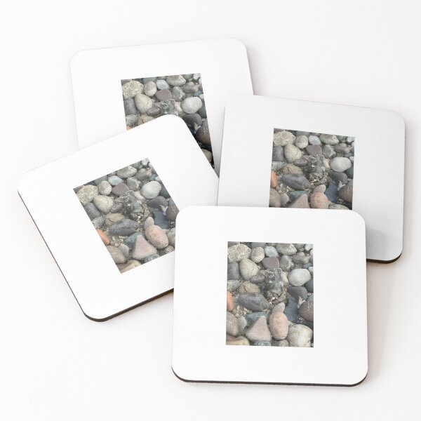 Item preview, Smooth River Rocks Surrounding a Weathered Stump designed and sold by Salt Sea and Stone.