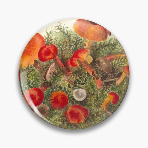 Item preview, Walcott Mushroom Study | Vintage Mycology designed and sold by GammaRay.