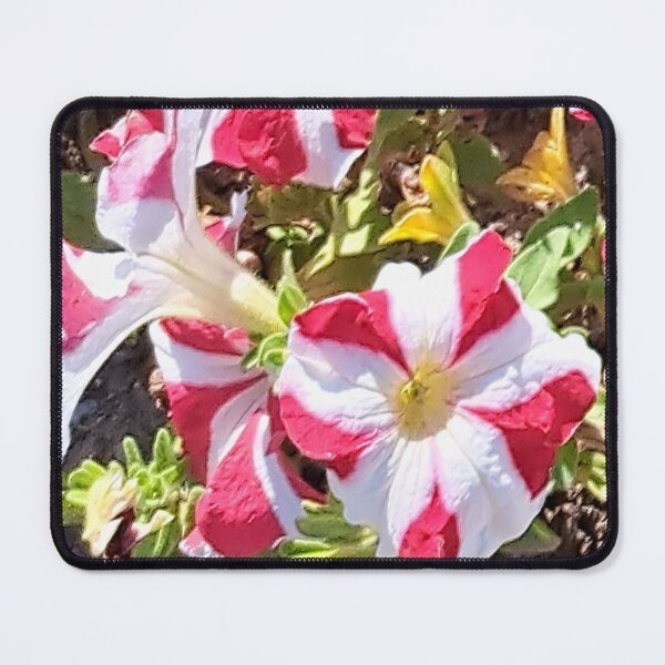 Item preview, attractive flowers designed and sold by sadeek1021953Ss.