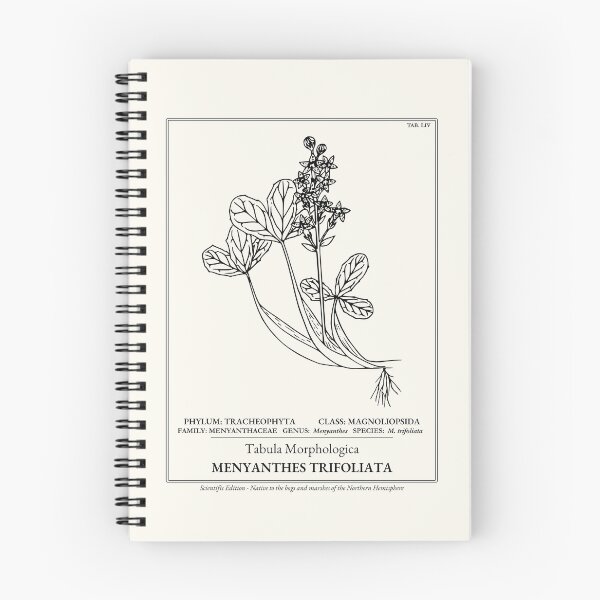Item preview, Bog Buckbean Botanical Print - Menyanthes Trifoliata designed and sold by NuvoraNest.