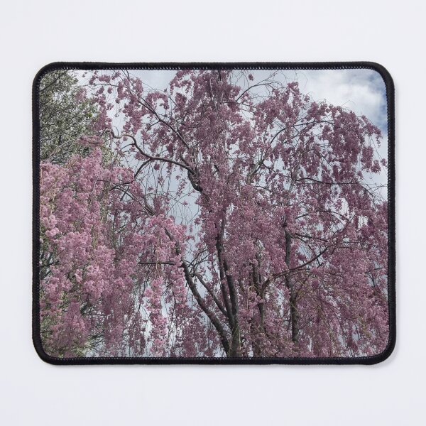 Item preview, Tall Weeping Cherry Tree  designed and sold by Amanda1775.