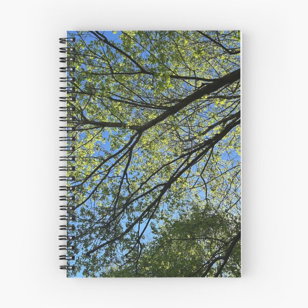 Item preview, Spring Is Budding designed and sold by Illustrationsbyv .
