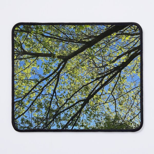 Item preview, Spring Is Budding designed and sold by Illustrationsbyv .