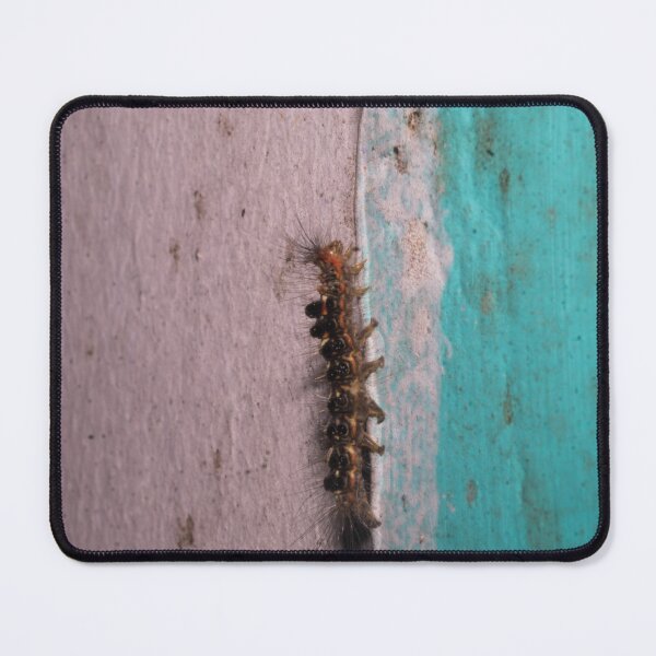 Item preview, Spongy Moth caterpillar designed and sold by ROSE ANN BANILAR.