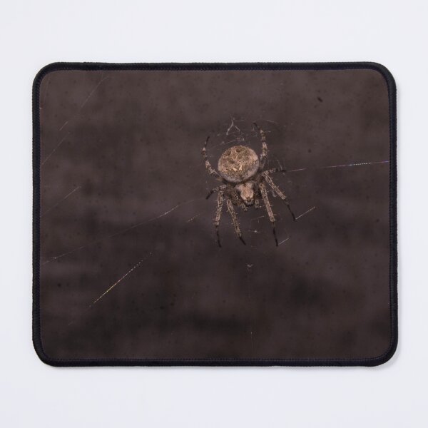 Item preview, Araneus ventricosus designed and sold by ROSE ANN BANILAR.