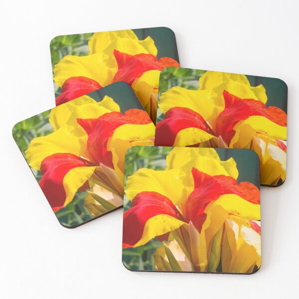 Item preview, Indian shot designed and sold by ROSE ANN BANILAR.
