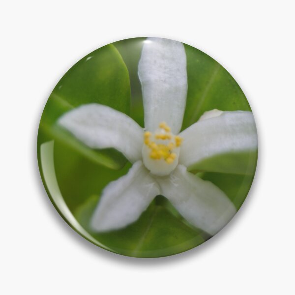 Item preview, Calamansi Flower designed and sold by ROSE ANN BANILAR.