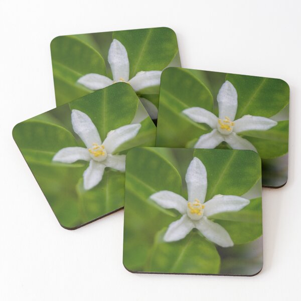 Item preview, Calamansi Flower designed and sold by ROSE ANN BANILAR.