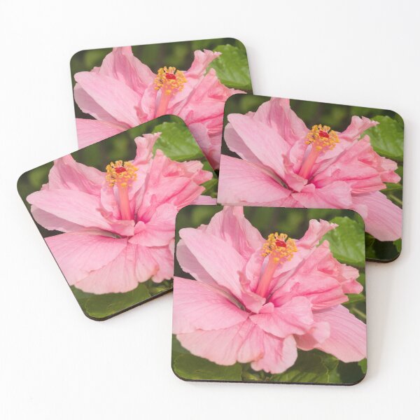 Item preview, Pink Hibiscus 03 designed and sold by ROSE ANN BANILAR.