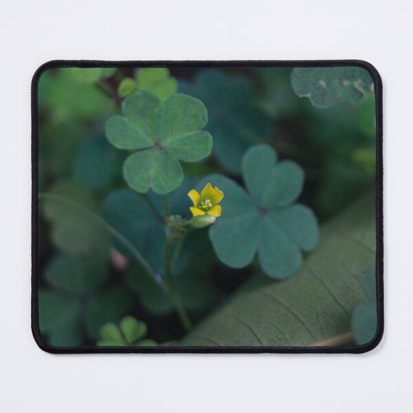 Item preview, Creeping woodsorrel designed and sold by ROSE ANN BANILAR.