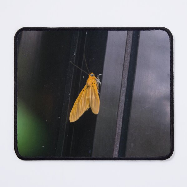 Item preview, Asota caricae, the tropical tiger moth designed and sold by ROSE ANN BANILAR.