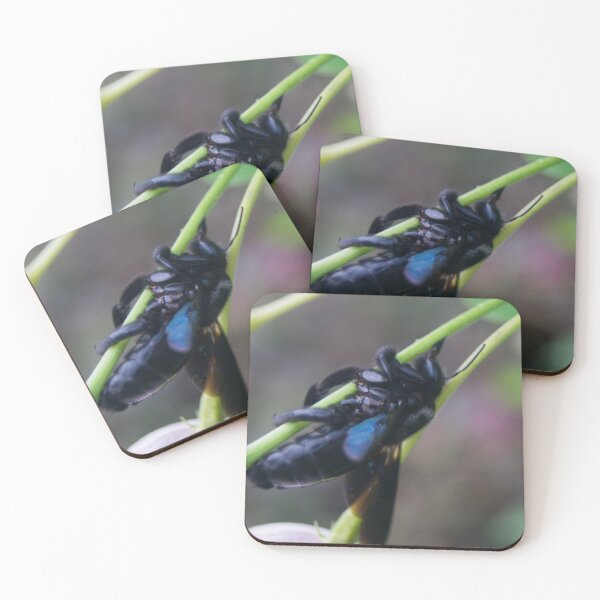 Item preview, Xylocopa latipes designed and sold by ROSE ANN BANILAR.
