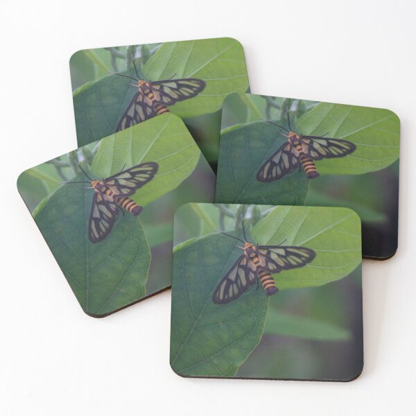 Item preview, Hübner's wasp moth_02 designed and sold by ROSE ANN BANILAR.