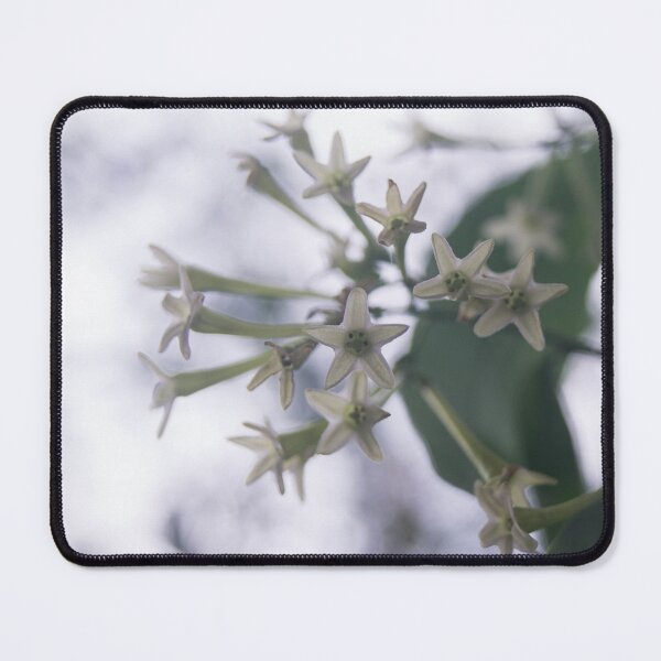 Item preview, Night-blooming jasmine_02 designed and sold by ROSE ANN BANILAR.
