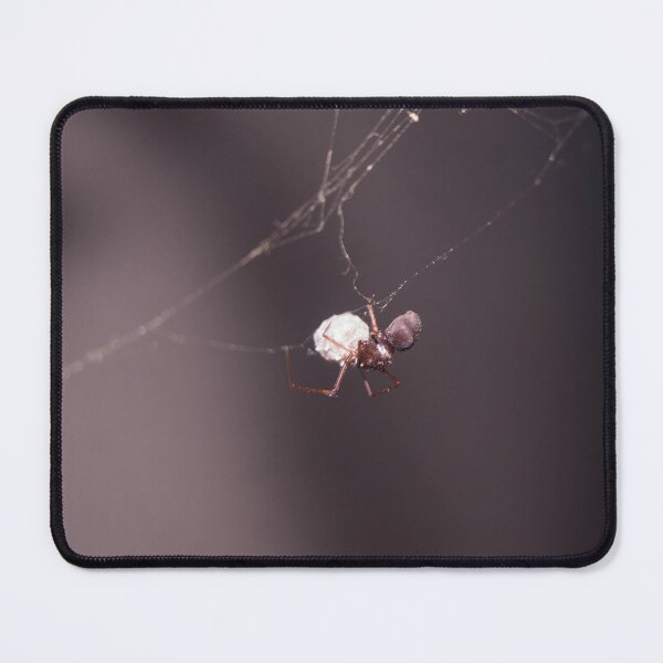 Item preview, Common House Spider designed and sold by ROSE ANN BANILAR.
