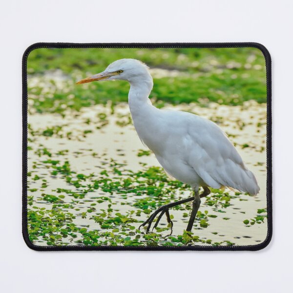 Item preview, Cute white bird. designed and sold by DaliaSabryTee.