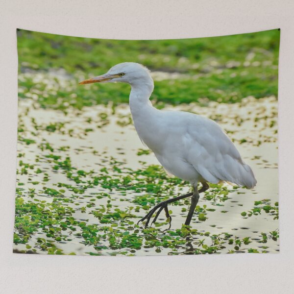 Item preview, Cute white bird. designed and sold by DaliaSabryTee.