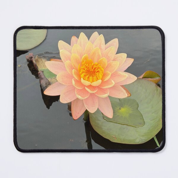 Item preview, Beautiful lotus flower designed and sold by dhaydream.