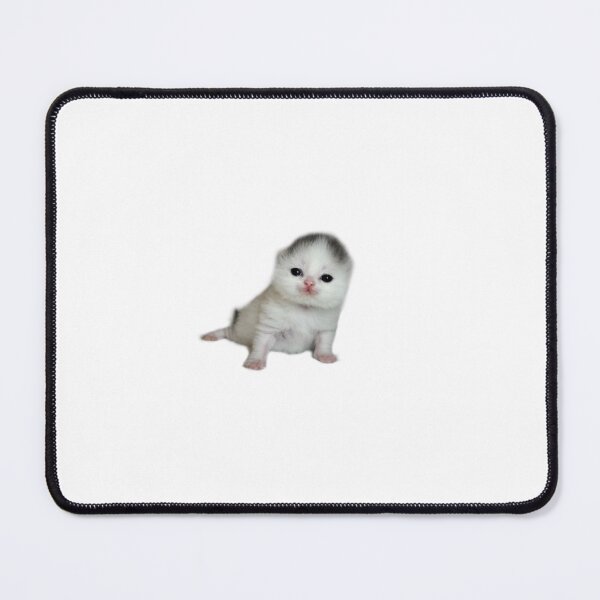 Item preview, Cute Pathetic Balding Pattern Kitten Meme designed and sold by CuteCatShoppe.