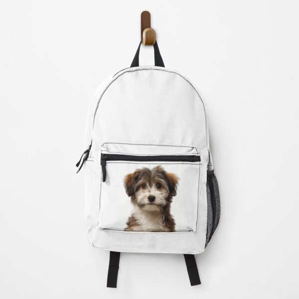 Item preview, Adorable Havanese Pup for Cute Havanese puppy lovers designed and sold by LazyOwlStore.