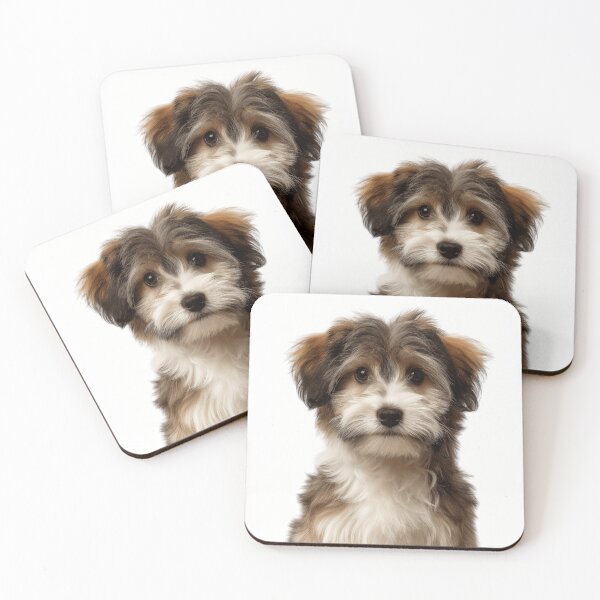 Item preview, Adorable Havanese Pup for Cute Havanese puppy lovers designed and sold by LazyOwlStore.