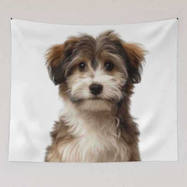 Item preview, Adorable Havanese Pup for Cute Havanese puppy lovers designed and sold by LazyOwlStore.
