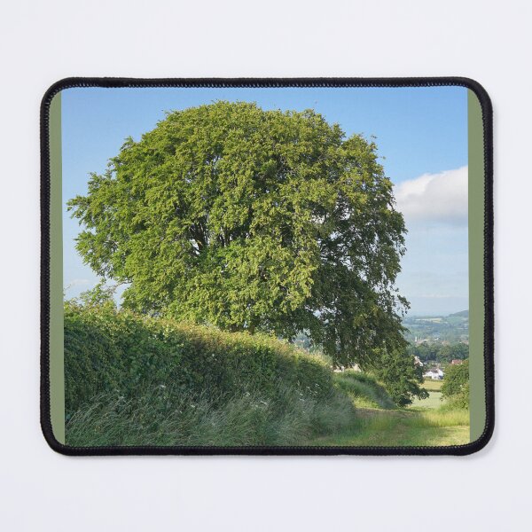 Item preview, Chard Sentinel Tree designed and sold by Alisonchambers2.