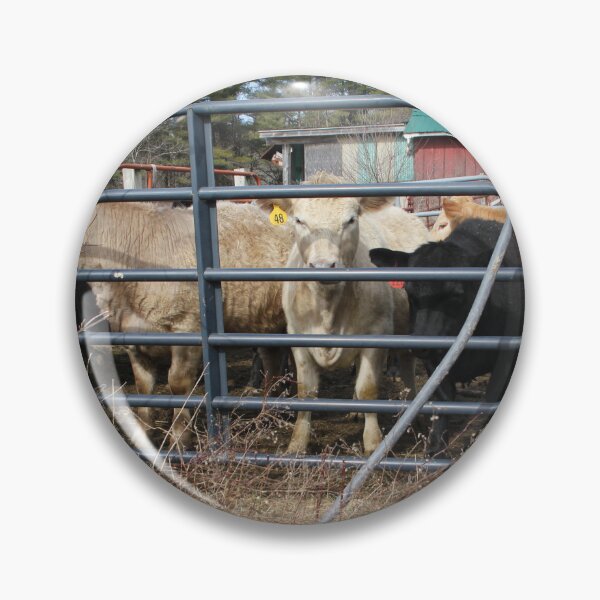 Item preview, Cows on the Prowl designed and sold by MatthewThomasDaniels.