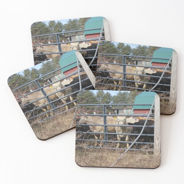 Item preview, Cows on the Prowl designed and sold by MatthewThomasDaniels.
