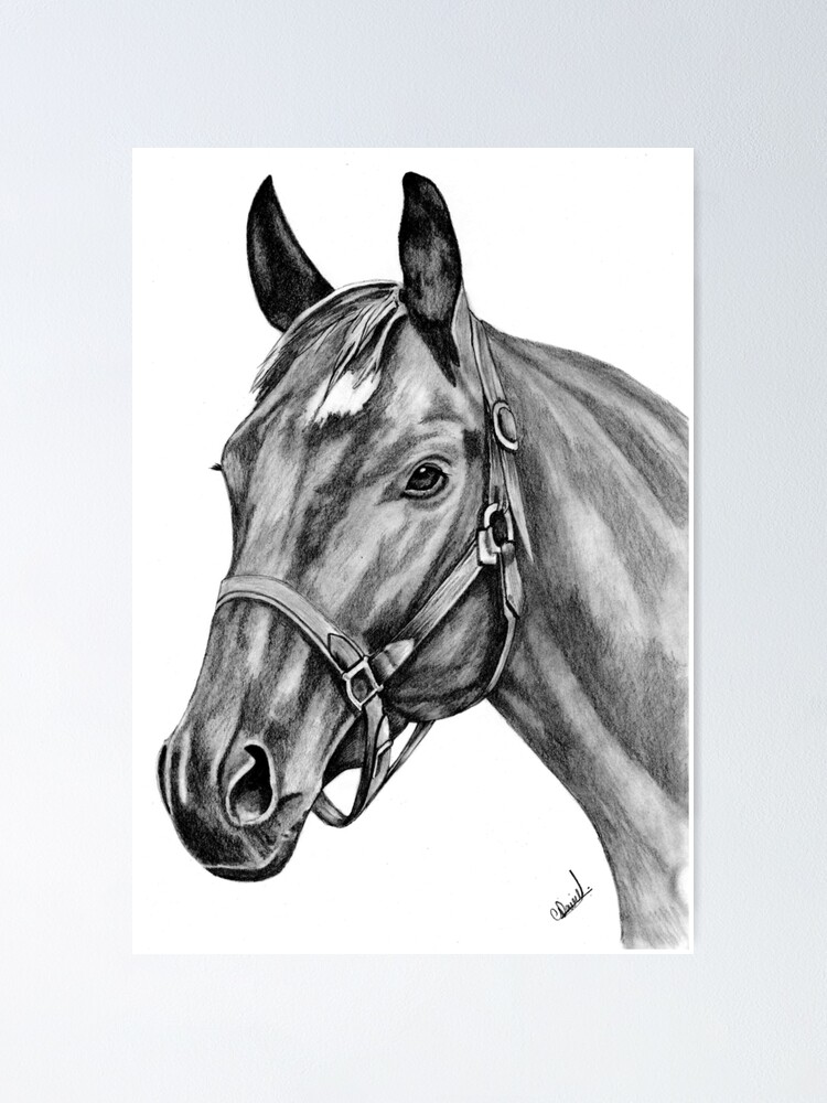 Horse Drawing With Pencil || How To Draw Realistic Horse || Step By Step || Pencil  Drawing Easy - YouTu… | Pencil drawings, Horse pencil drawing, Realistic  drawings