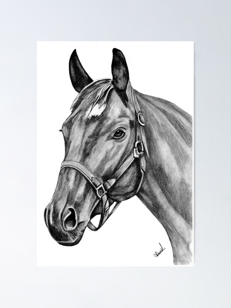 Horse sketch pencil by NillaMustikka on DeviantArt