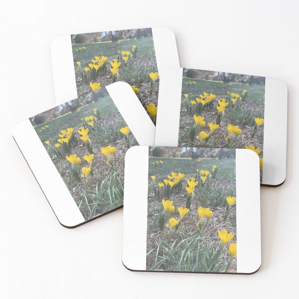 Item preview, The yellow flowers will go to sleep. designed and sold by artistique27.
