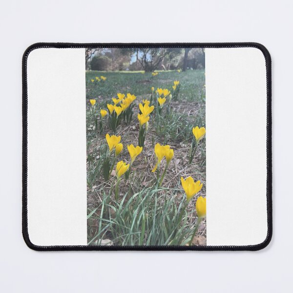 Item preview, The yellow flowers will go to sleep. designed and sold by artistique27.