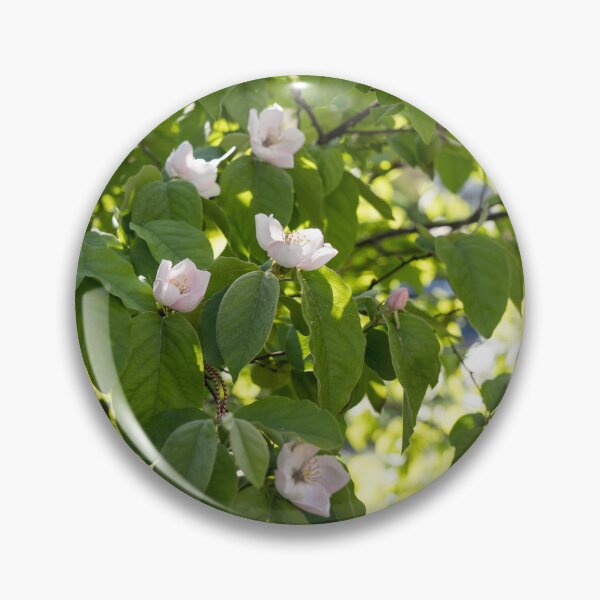 Item preview, Sunlit Orchard - Springtime Quince Blossoms on Greenery designed and sold by Georgia Mizuleva.