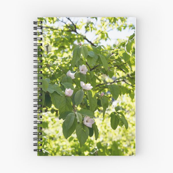 Item preview, Sunlit Orchard - Springtime Quince Blossoms on Greenery designed and sold by Georgia Mizuleva.