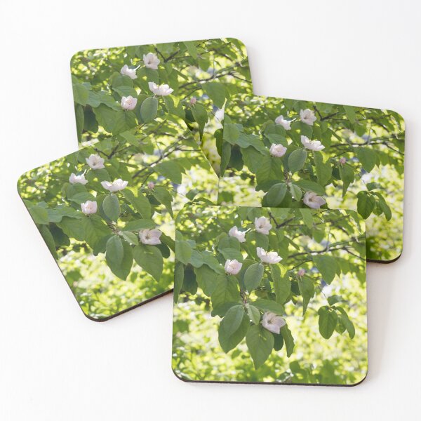 Item preview, Sunlit Orchard - Springtime Quince Blossoms on Greenery designed and sold by Georgia Mizuleva.