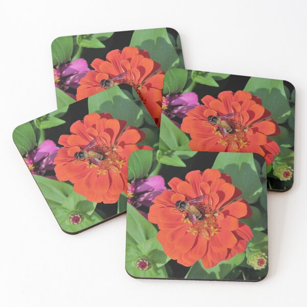 Item preview, Bee on Flower designed and sold by morrisophotography.