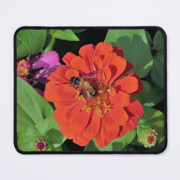 Item preview, Bee on Flower designed and sold by morrisophotography.