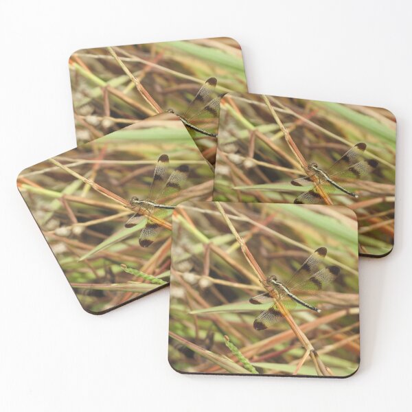 Item preview, Dragonfly designed and sold by morrisophotography.