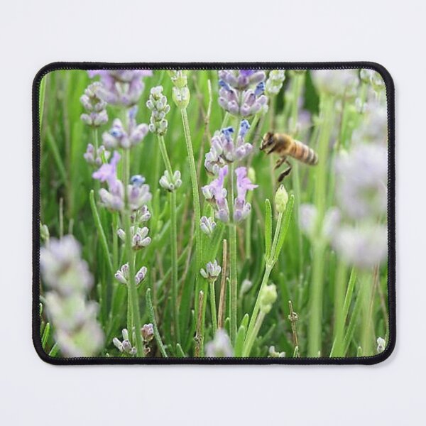 Item preview, Among the Lavender designed and sold by morrisophotography.