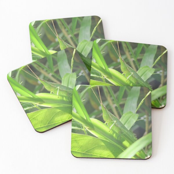 Item preview, Green Locust designed and sold by morrisophotography.