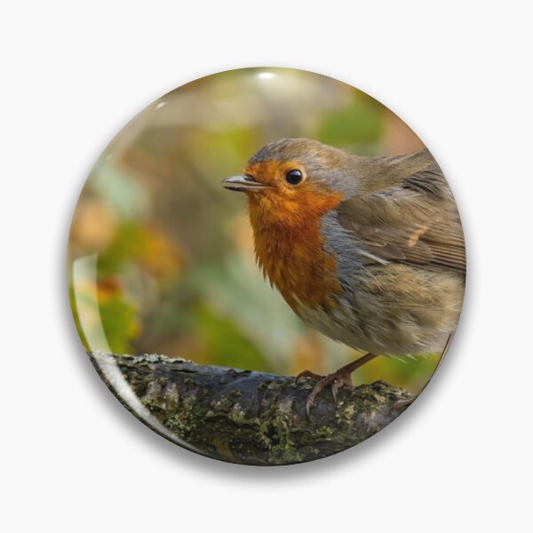 Item preview, Robin perched on a branch with wind in its feathers. designed and sold by Malisa345.