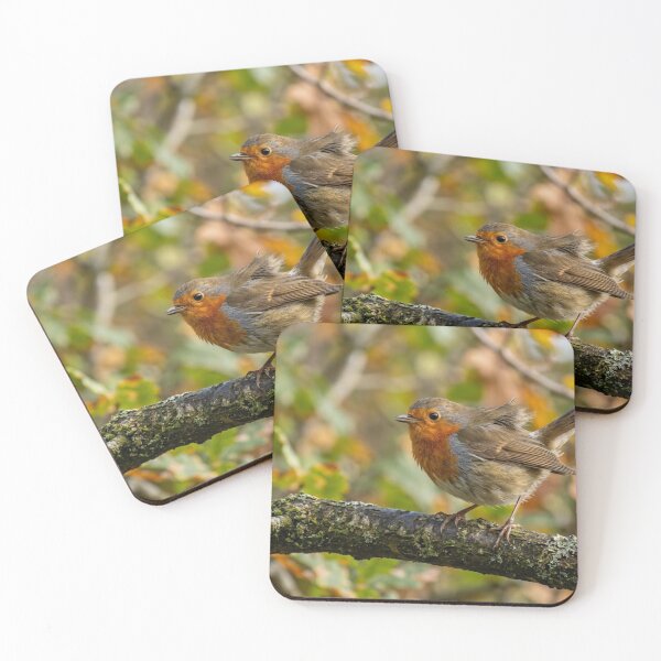 Item preview, Robin perched on a branch with wind in its feathers. designed and sold by Malisa345.