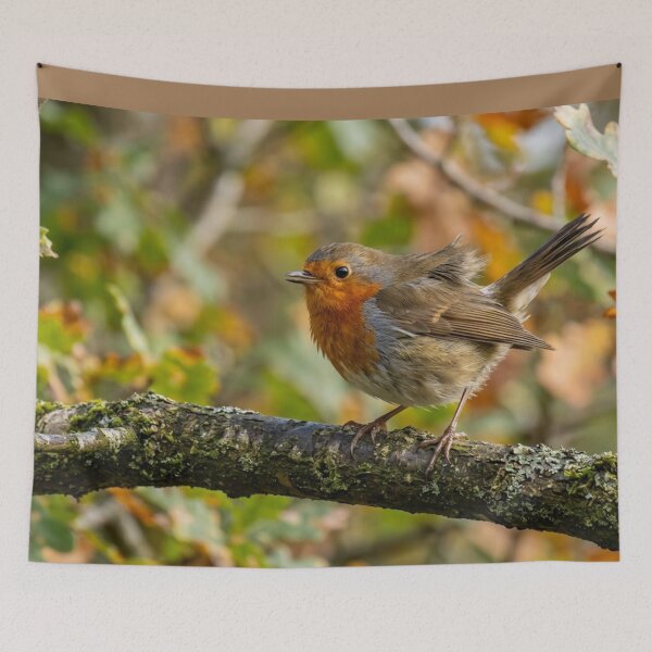 Item preview, Robin perched on a branch with wind in its feathers. designed and sold by Malisa345.